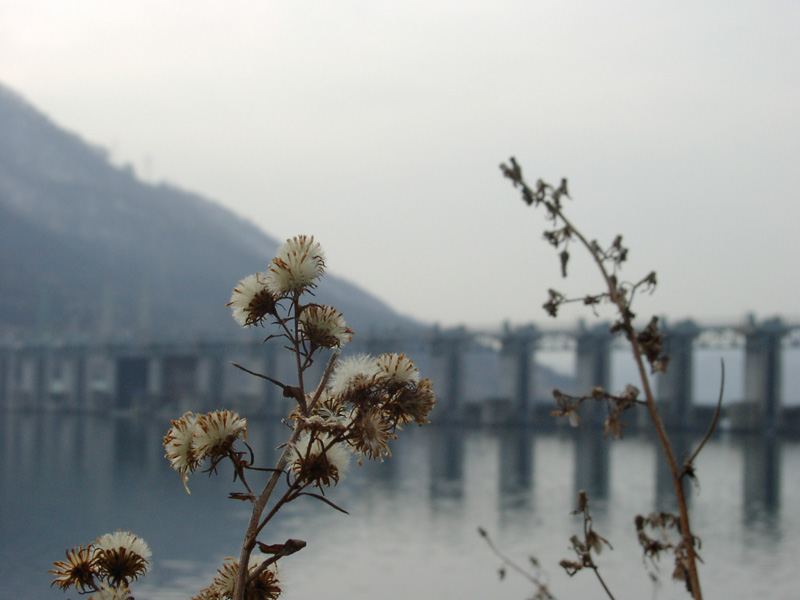 SANY0034.JPG