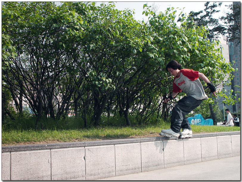 DSC09108.jpg