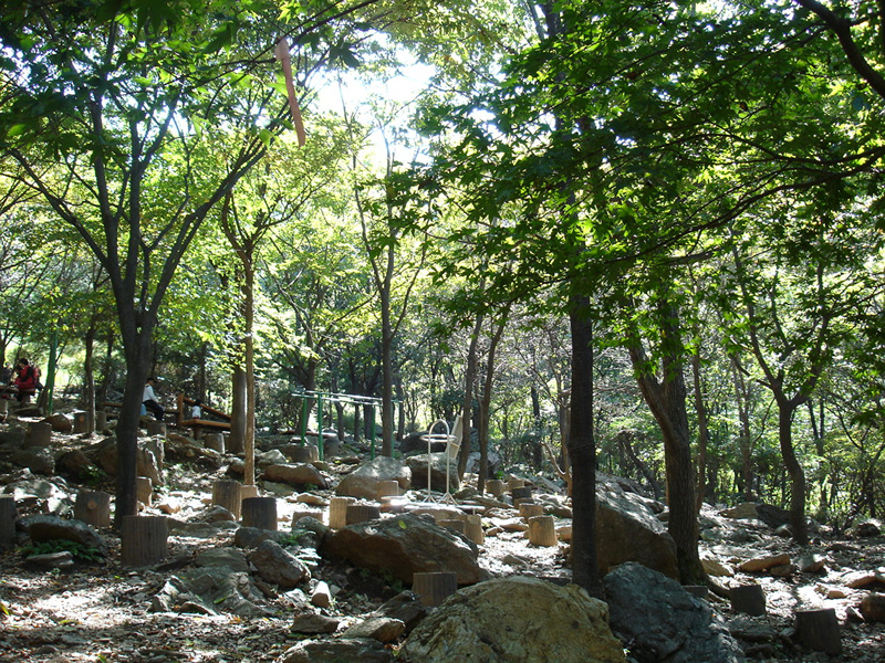 DSC00581.jpg