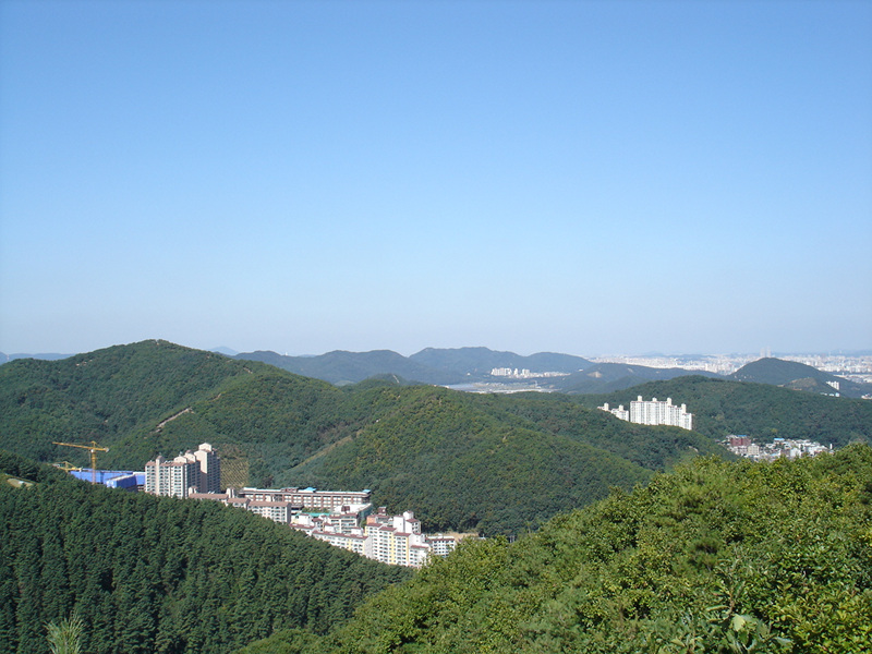 DSC00590.jpg