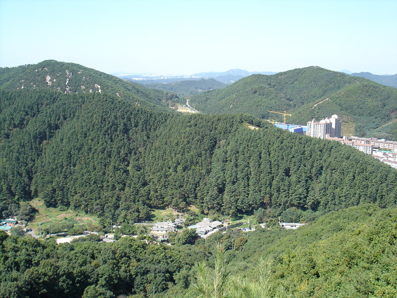 DSC00594.jpg