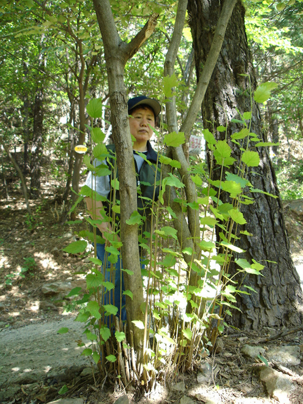 DSC00623.jpg