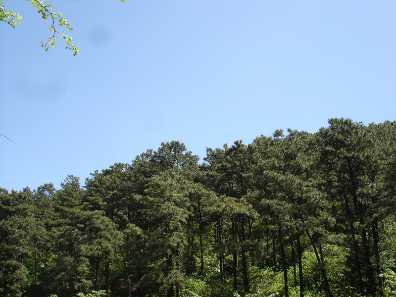 DSC04579.JPG