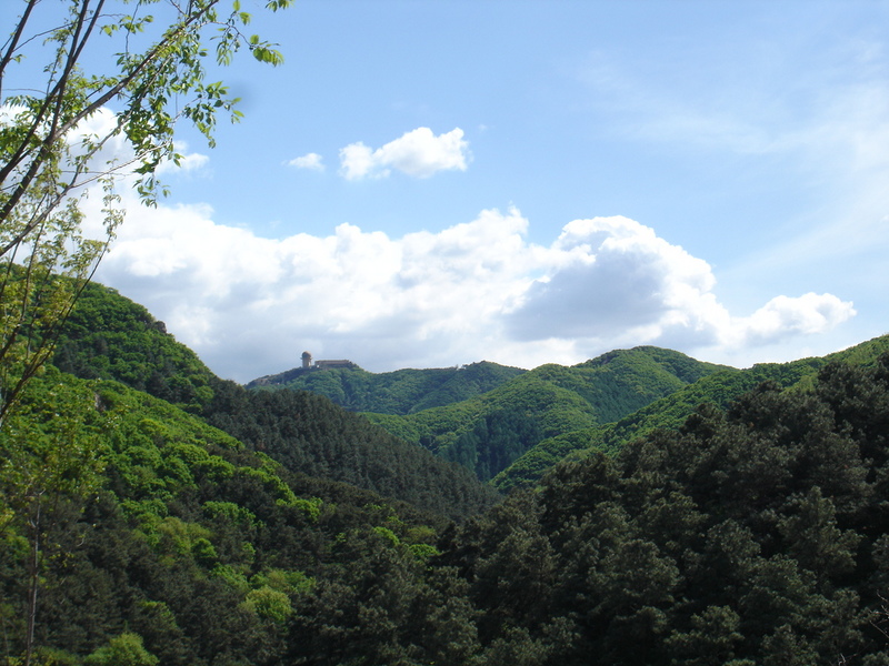DSC04592.JPG