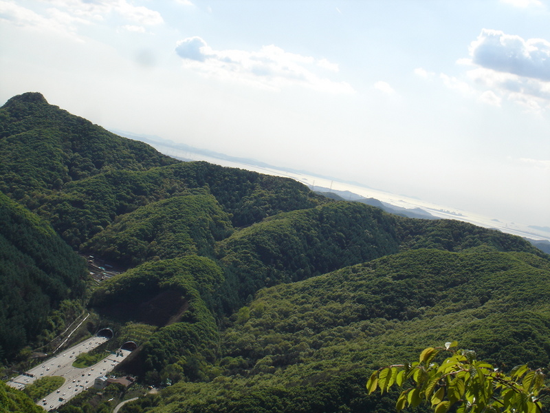 DSC04600.JPG