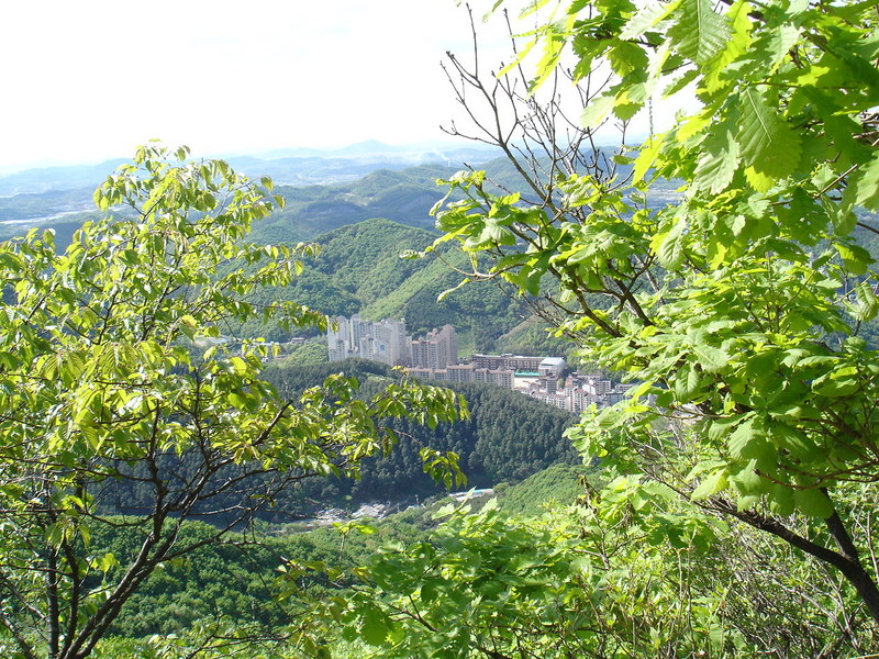 DSC04604.JPG