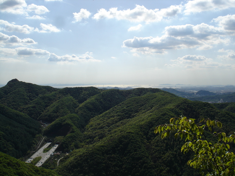 DSC04606.JPG
