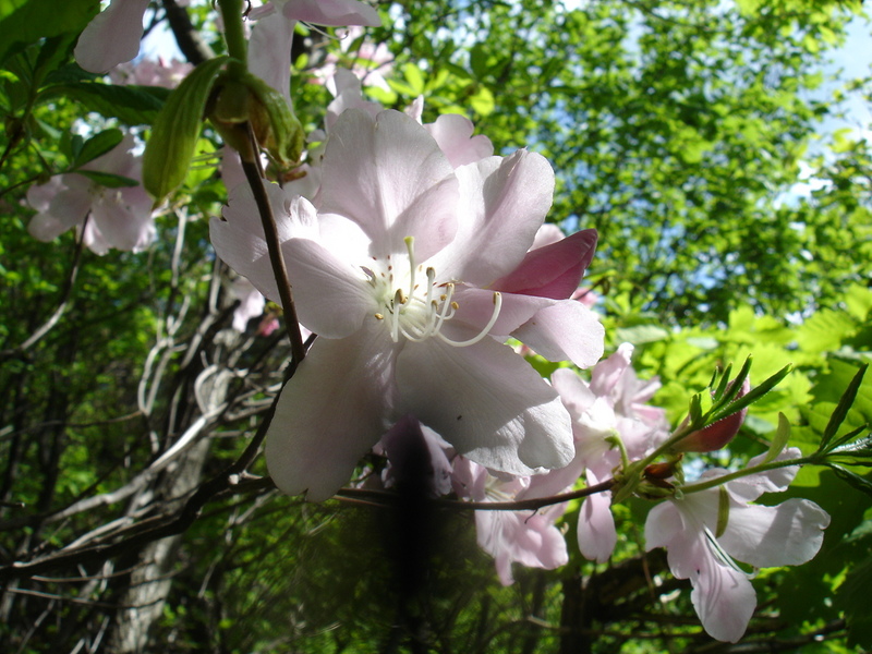 DSC04611.JPG