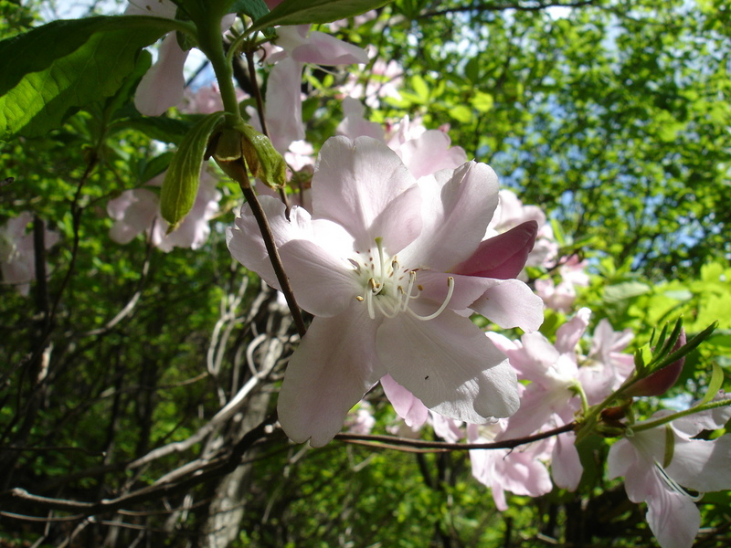 DSC04612.JPG