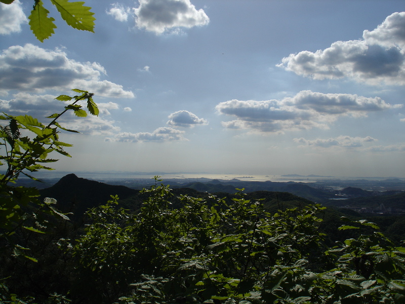 DSC04613.JPG