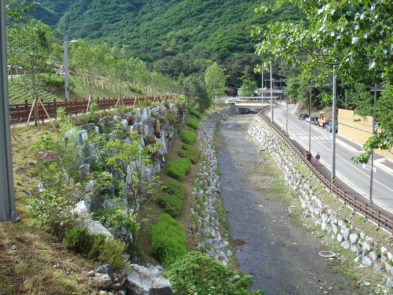 DSC04702.JPG