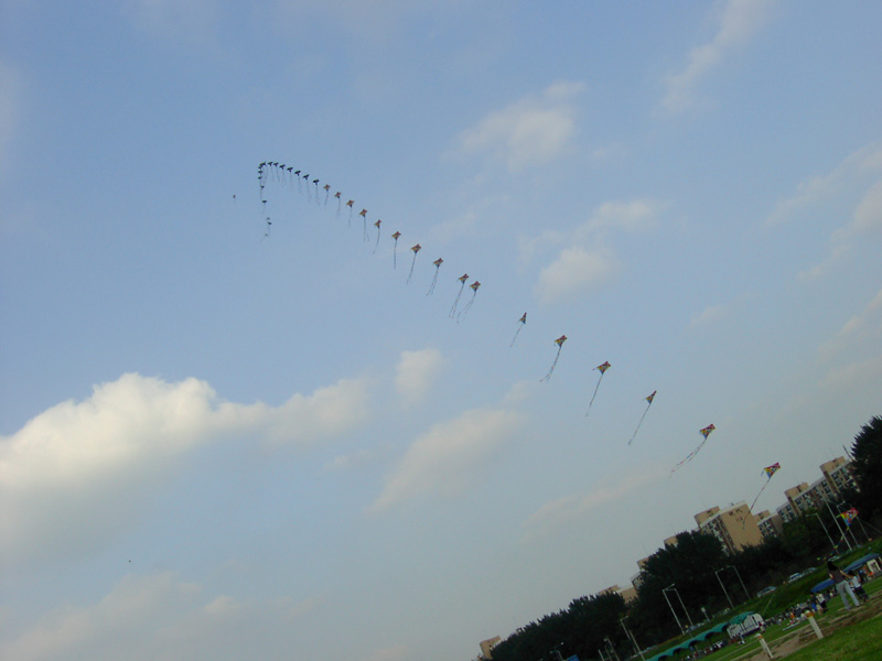 SANY0016.JPG